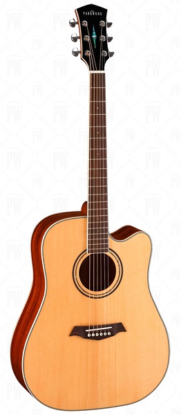 PARKWOOD S66 - гитара электроакустическая